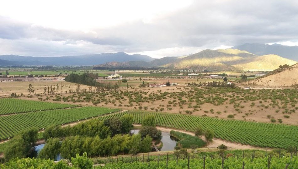 Casablanca Valley, Between Santiago and Valparaíso, Chile